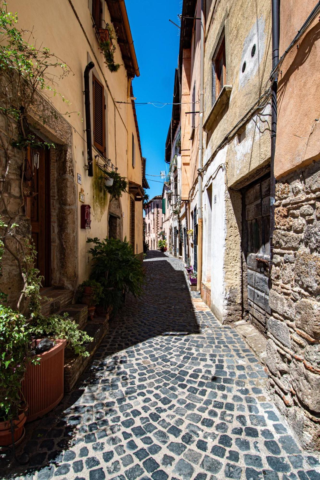 Finestra Sul Borgo Apartment Trevignano Romano Bagian luar foto