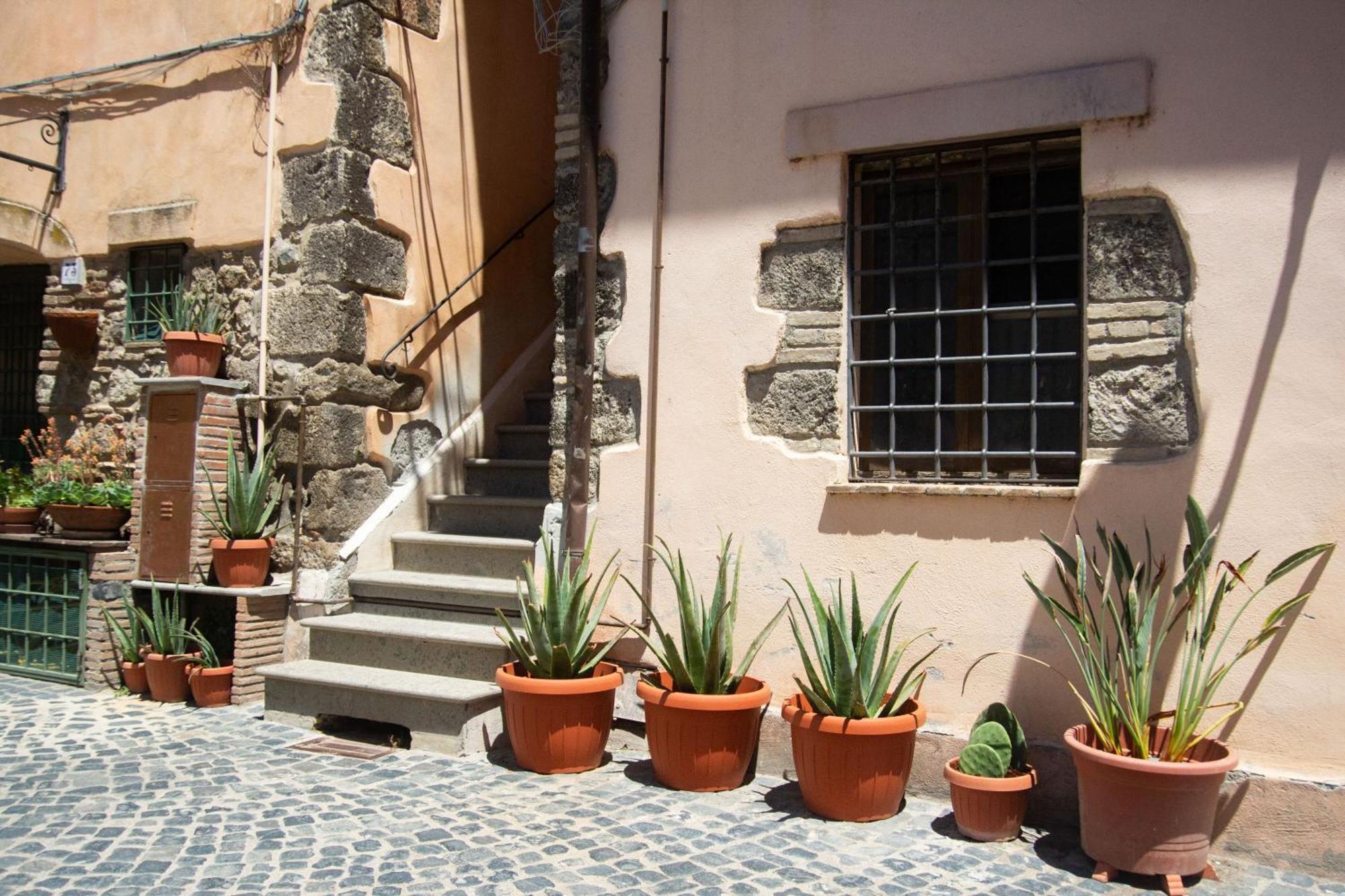 Finestra Sul Borgo Apartment Trevignano Romano Bagian luar foto